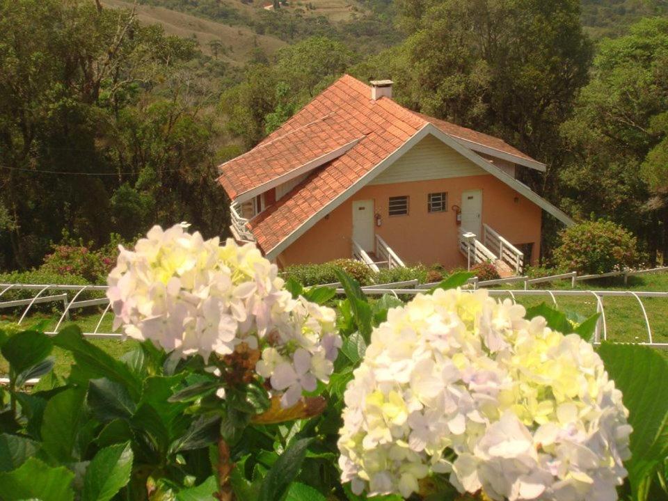 Casa de hóspedes Sky
